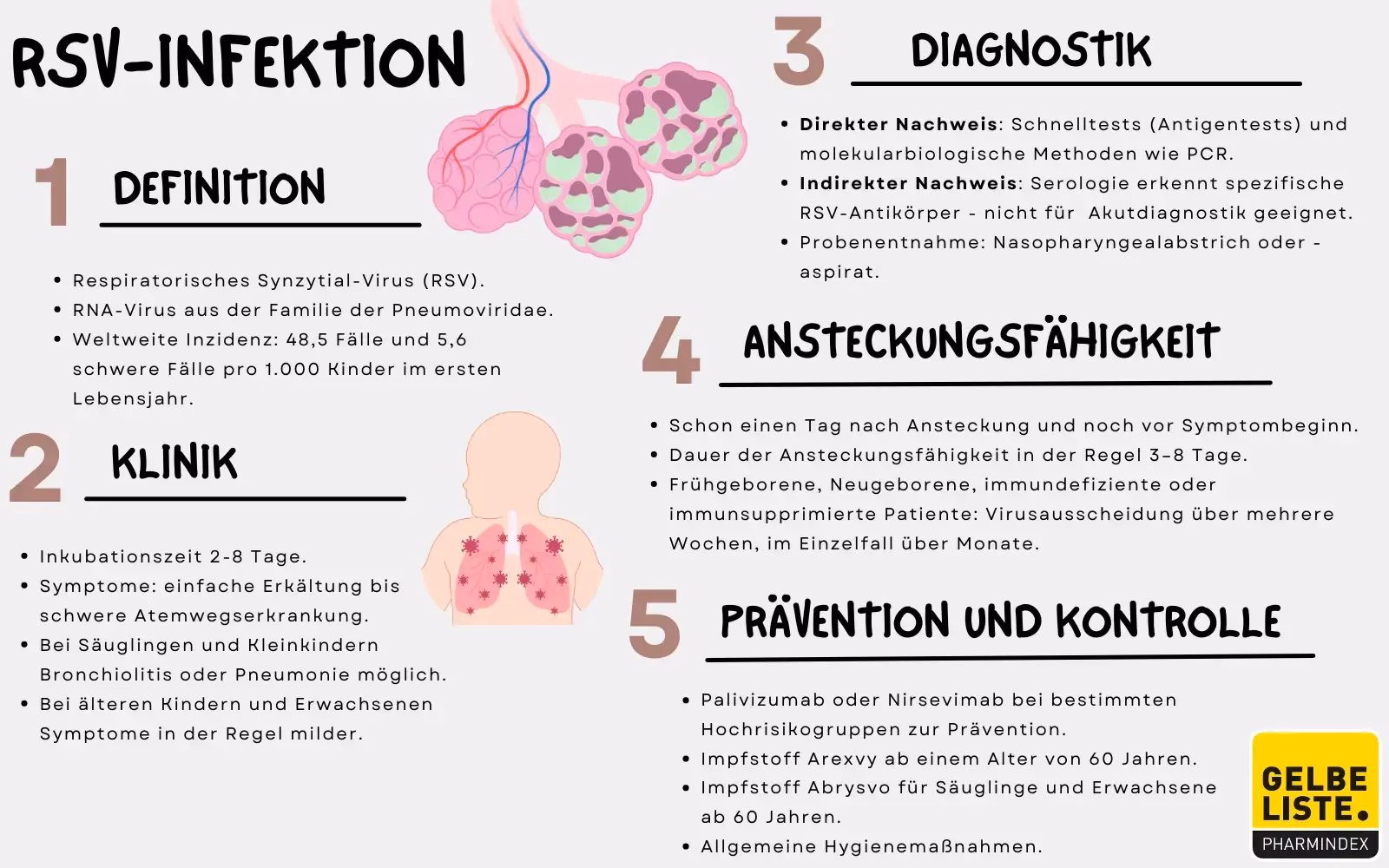 Was ist der Unterschied zwischen Antibiotika und Viren?