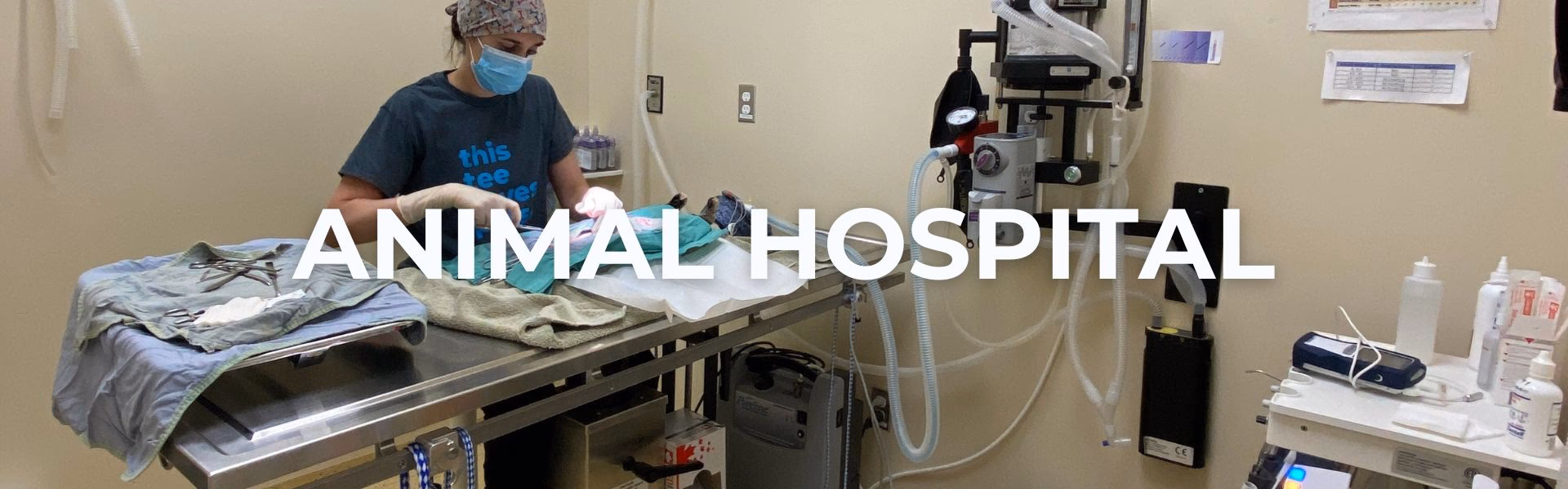 Is wet-work exposure a risk factor for irritant contact dermatitis?