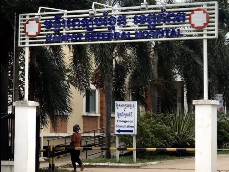 What is a referral in healthcare?