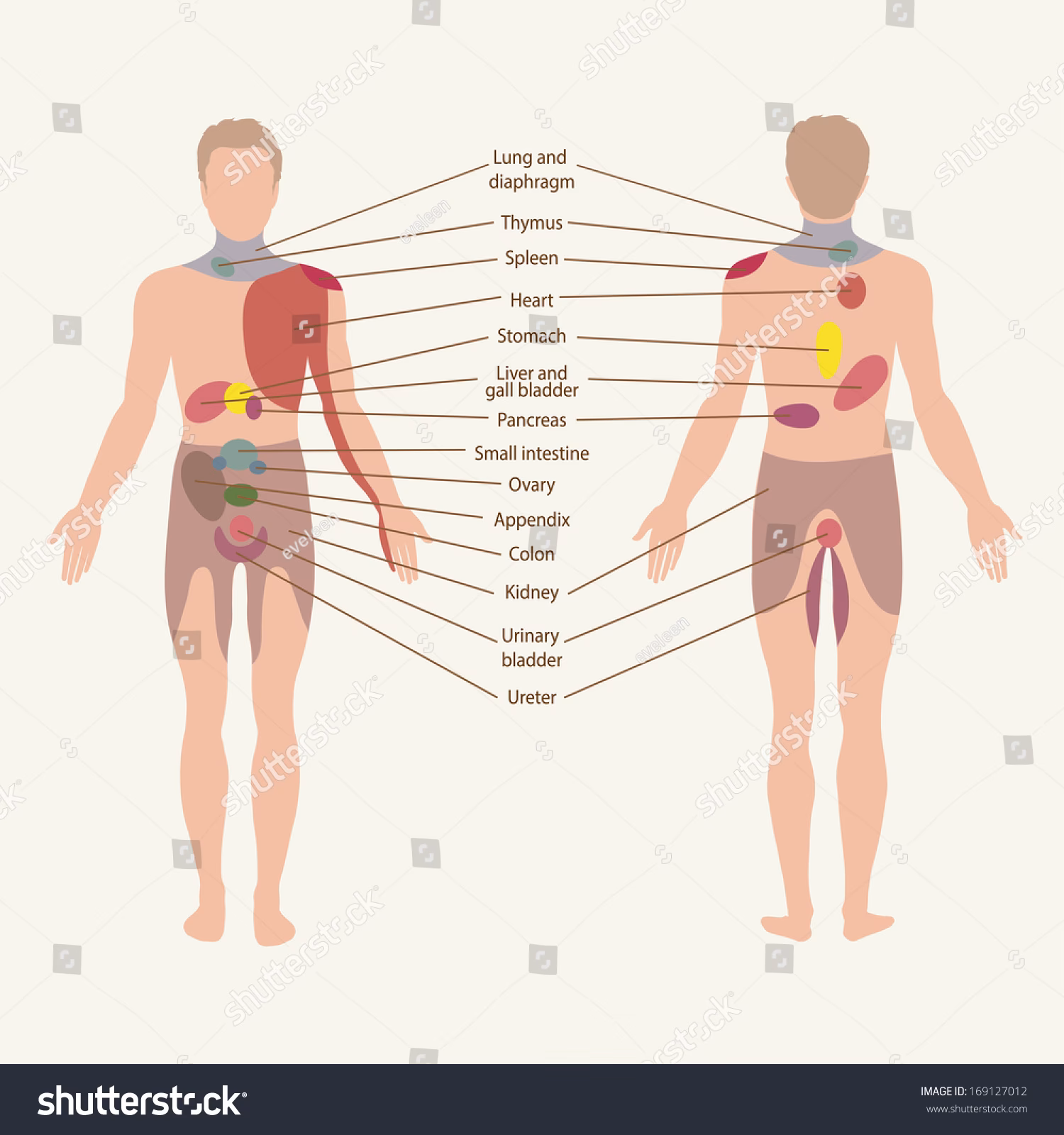 How is pain classified?