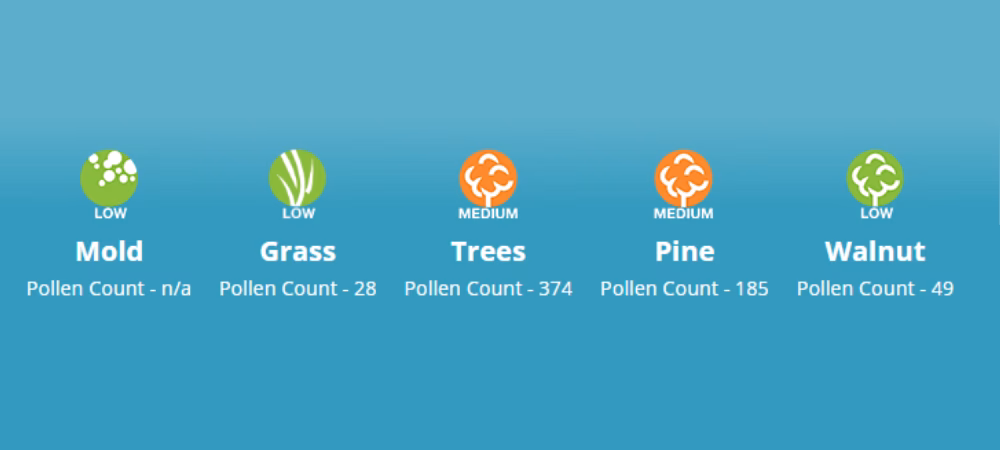 What is a pollen count?