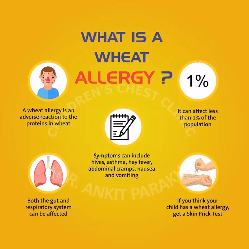 When can you become allergic to wheat?