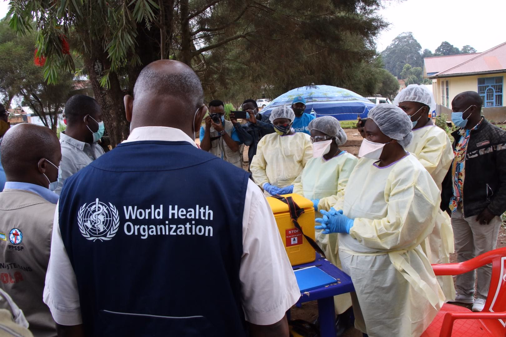 Where did Ebola come from?