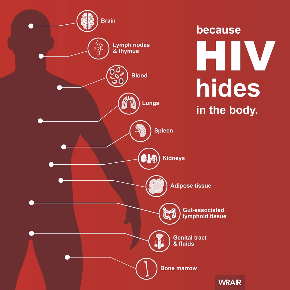 Can biotechnology cure HIV?