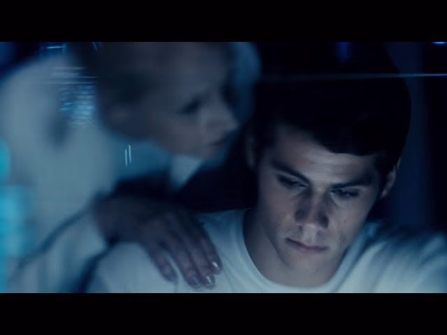 Who helped Wicked build a maze in the Fever Code?