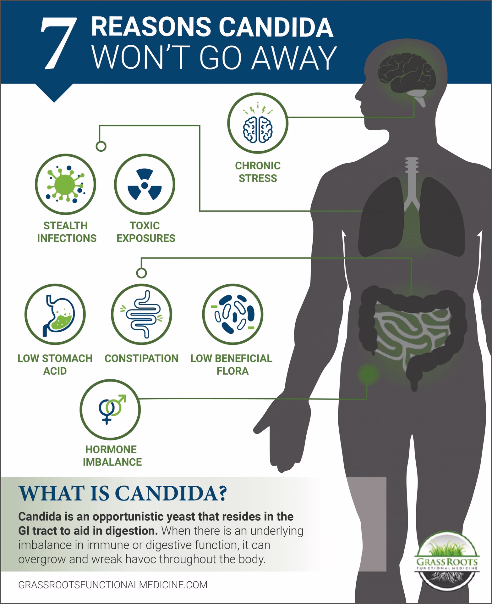 What happens if a yeast infection persists after over-the-counter treatments?