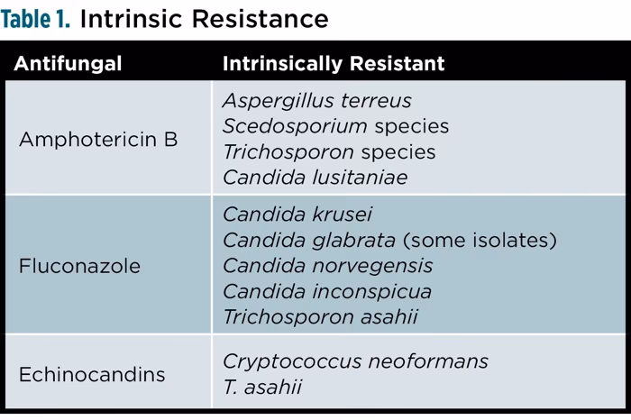 Can fluconazole be used to treat Candida spp?