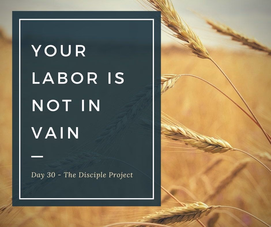 What does Paul say about 'labor is not in vain'?