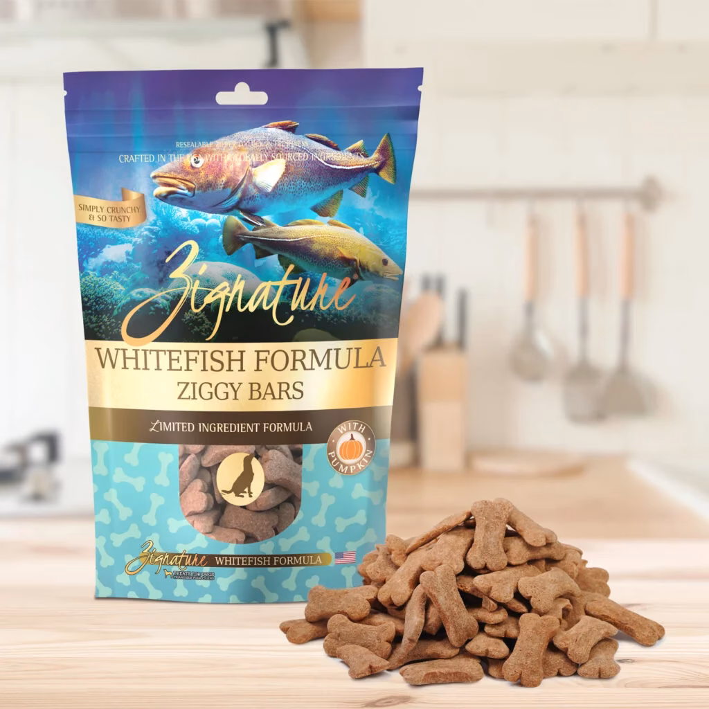 How strong is Ziggs?